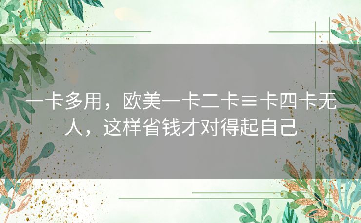 一卡多用,欧美一卡二卡≡卡四卡无人,这样省钱才对得起自己 一卡多用,欧美一卡二卡≡卡四卡无人,这样省钱才对得起自己