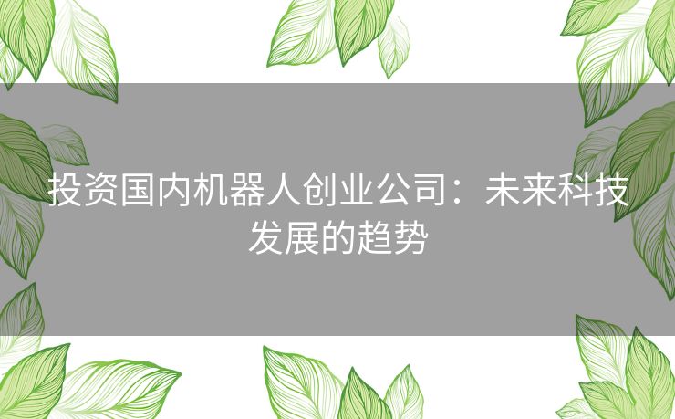投资国内机器人创业公司：未来科技发展的趋势
