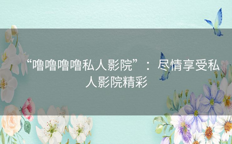 “噜噜噜噜私人影院”：尽情享受私人影院精彩