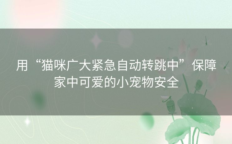 用“猫咪广大紧急自动转跳中”保障家中可爱的小宠物安全 用“猫咪广大紧急自动转跳中”保障家中可爱的小宠物安全