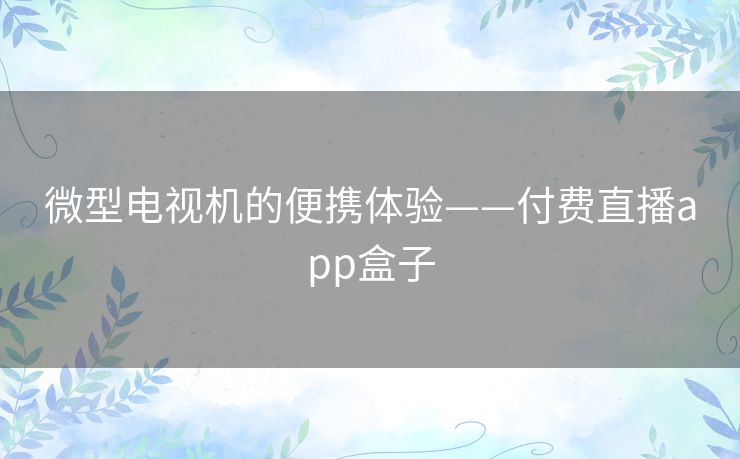 微型电视机的便携体验——付费直播app盒子 微型电视机的便携体验——付费直播app盒子