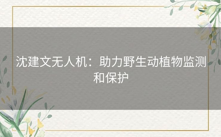 沈建文无人机:助力野生动植物监测和保护 沈建文无人机:助力野生动植物监测和保护