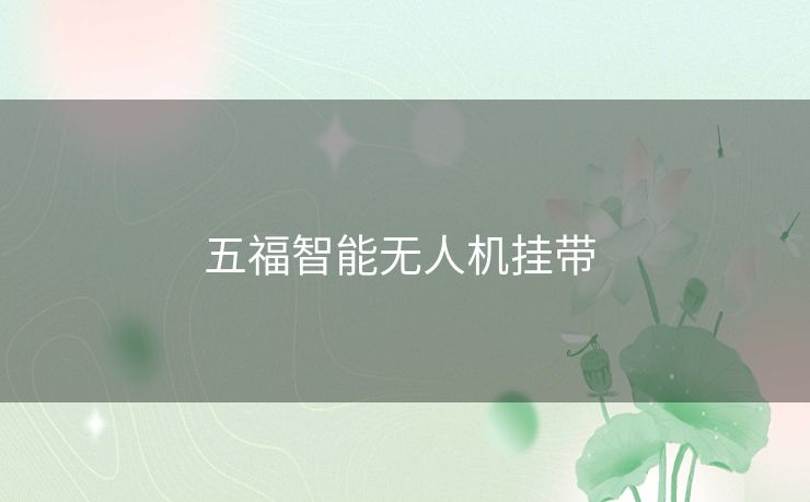 五福智能无人机挂带 五福智能无人机挂带