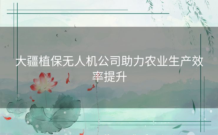 大疆植保无人机公司助力农业生产效率提升 大疆植保无人机公司助力农业生产效率提升