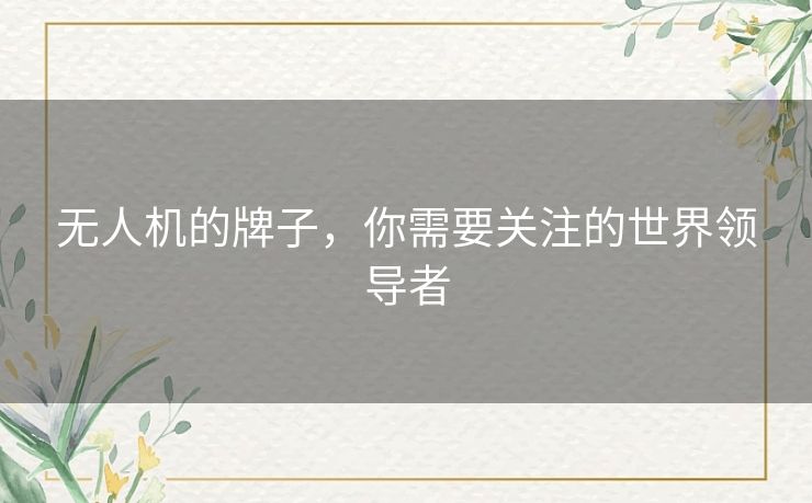 无人机的牌子,你需要关注的世界领导者 无人机的牌子,你需要关注的世界领导者