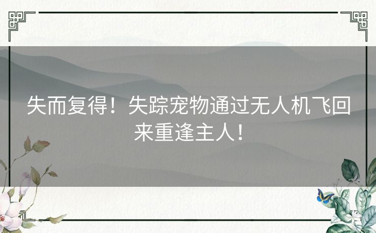 失而复得！失踪宠物通过无人机飞回来重逢主人！