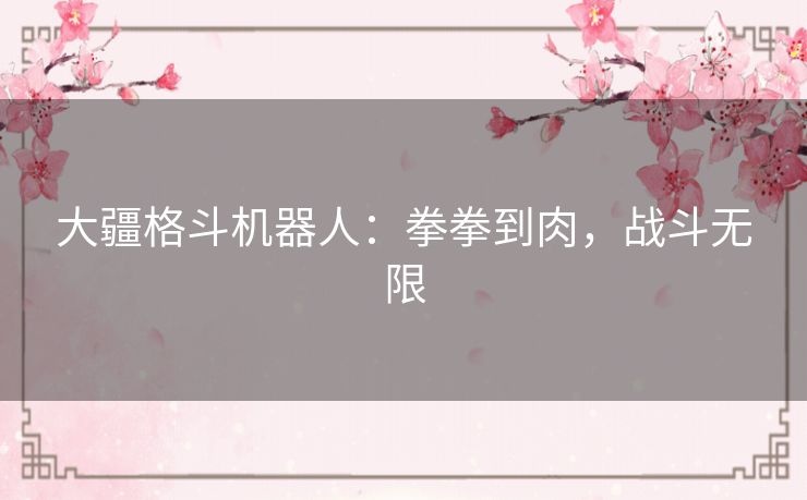 大疆格斗机器人:拳拳到肉,战斗无限 大疆格斗机器人:拳拳到肉,战斗无限