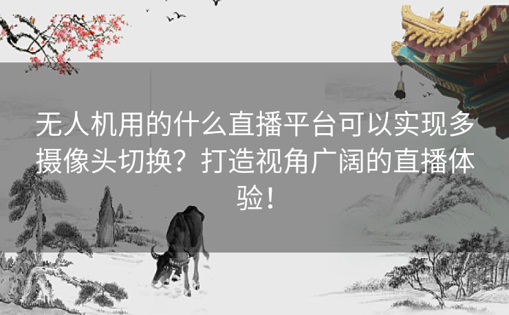 无人机用的什么直播平台可以实现多摄像头切换？打造视角广阔的直播体验！
