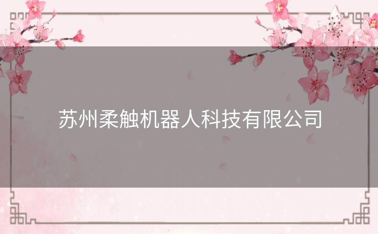 苏州柔触机器人科技有限公司 苏州柔触机器人科技有限公司