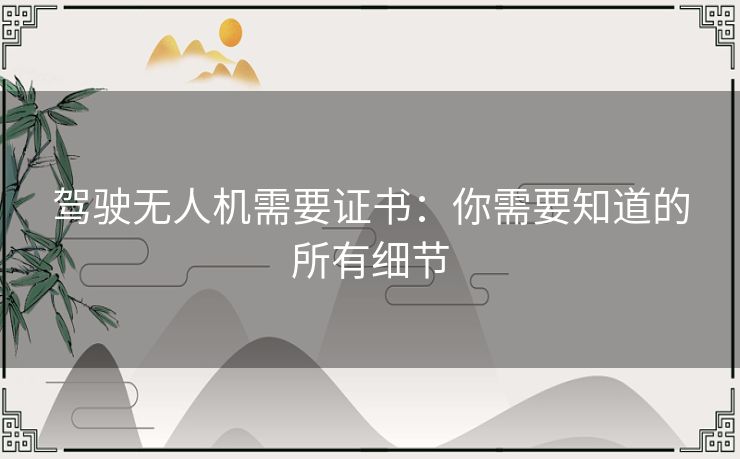 驾驶无人机需要证书:你需要知道的所有细节 驾驶无人机需要证书:你需要知道的所有细节