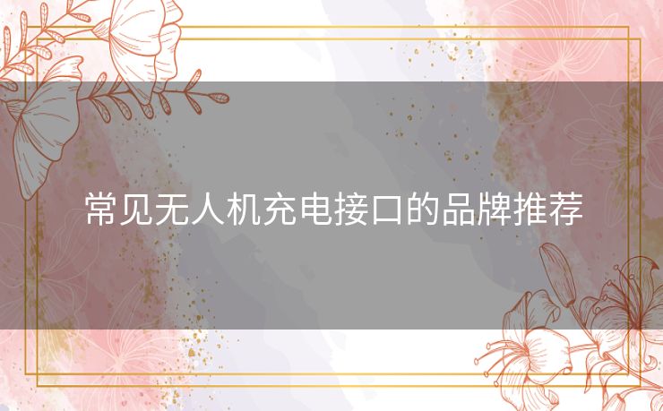 常见无人机充电接口的品牌推荐