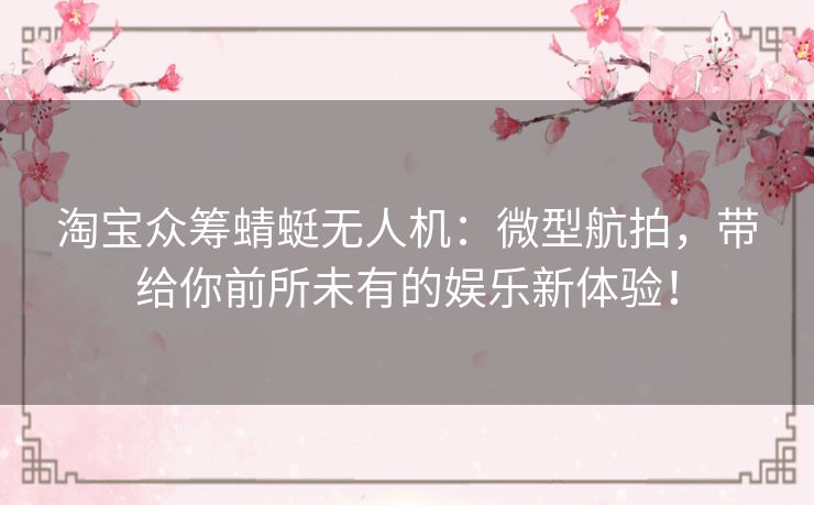 淘宝众筹蜻蜓无人机：微型航拍，带给你前所未有的娱乐新体验！