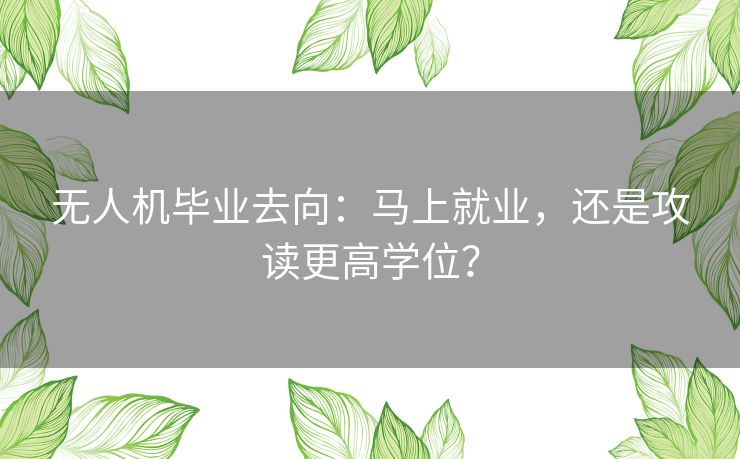 无人机毕业去向:马上就业,还是攻读更高学位? 无人机毕业去向:马上就业,还是攻读更高学位?