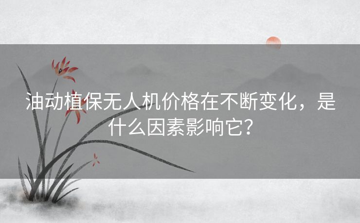 油动植保无人机价格在不断变化,是什么因素影响它? 油动植保无人机价格在不断变化,是什么因素影响它?