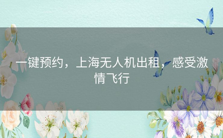 一键预约,上海无人机出租,感受激情飞行 一键预约,上海无人机出租,感受激情飞行