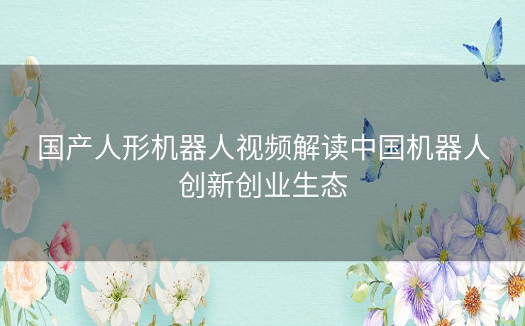 国产人形机器人视频解读中国机器人创新创业生态