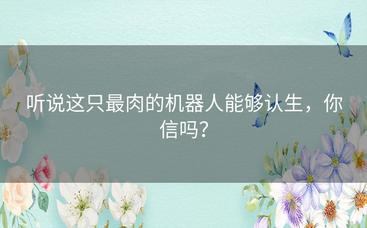 听说这只最肉的机器人能够认生,你信吗? 听说这只最肉的机器人能够认生,你信吗?