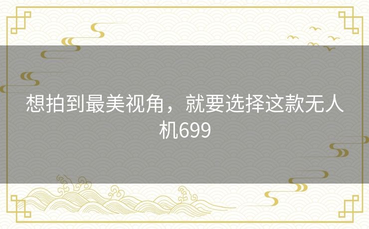 想拍到最美视角,就要选择这款无人机699 想拍到最美视角,就要选择这款无人机699