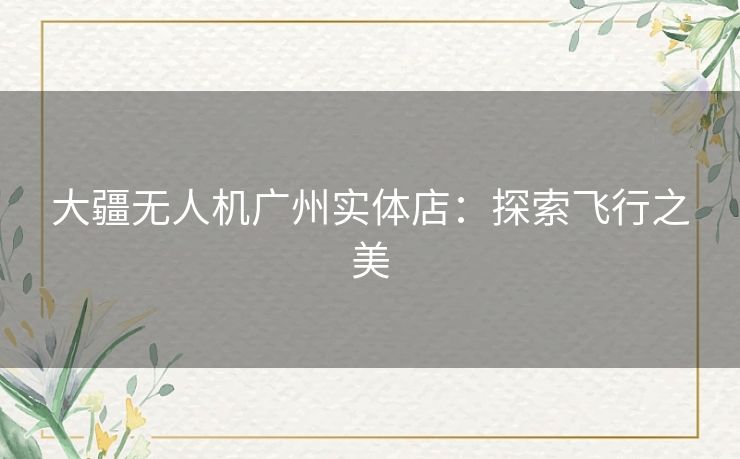 大疆无人机广州实体店:探索飞行之美 大疆无人机广州实体店:探索飞行之美