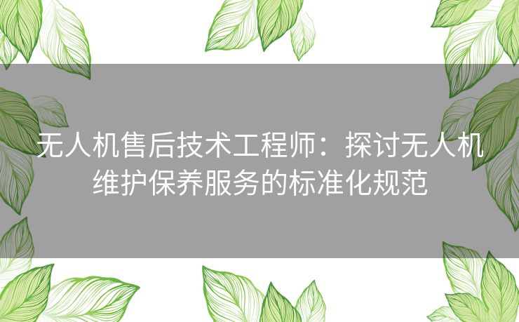 无人机售后技术工程师:探讨无人机维护保养服务的标准化规范 无人机售后技术工程师:探讨无人机维护保养服务的标准化规范