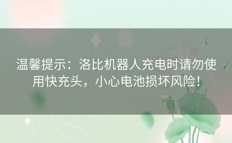 温馨提示:洛比机器人充电时请勿使用快充头,小心电池损坏风险! 温馨提示:洛比机器人充电时请勿使用快充头,小心电池损坏风险!