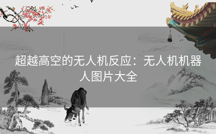 超越高空的无人机反应:无人机机器人图片大全 超越高空的无人机反应:无人机机器人图片大全