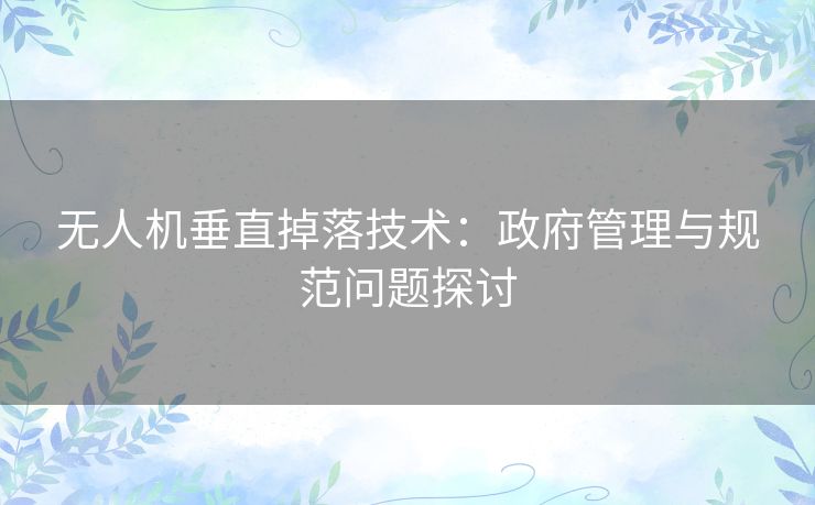 无人机垂直掉落技术:政府管理与规范问题探讨 无人机垂直掉落技术:政府管理与规范问题探讨
