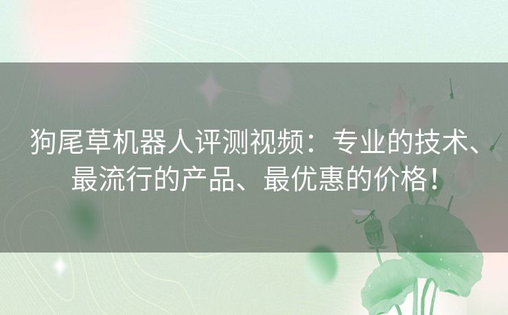 狗尾草机器人评测视频:专业的技术、最流行的产品、最优惠的价格! 狗尾草机器人评测视频:专业的技术、最流行的产品、最优惠的价格!