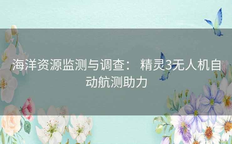 海洋资源监测与调查: 精灵3无人机自动航测助力 海洋资源监测与调查: 精灵3无人机自动航测助力