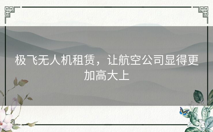 极飞无人机租赁,让航空公司显得更加高大上 极飞无人机租赁,让航空公司显得更加高大上