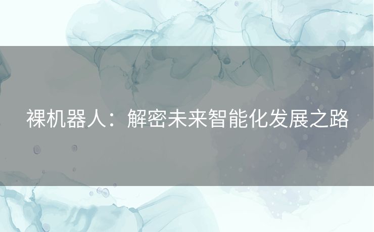 裸机器人:解密未来智能化发展之路 裸机器人:解密未来智能化发展之路