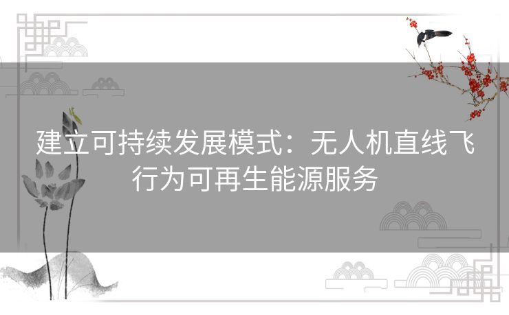 建立可持续发展模式:无人机直线飞行为可再生能源服务 建立可持续发展模式:无人机直线飞行为可再生能源服务