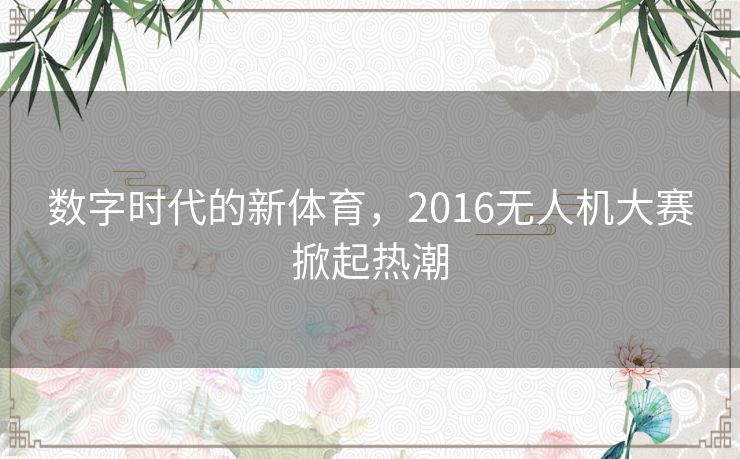 数字时代的新体育,2016无人机大赛掀起热潮 数字时代的新体育,2016无人机大赛掀起热潮