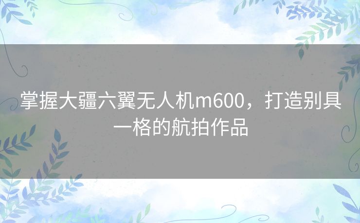 掌握大疆六翼无人机m600,打造别具一格的航拍作品 掌握大疆六翼无人机m600,打造别具一格的航拍作品