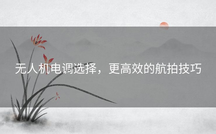 无人机电调选择,更高效的航拍技巧 无人机电调选择,更高效的航拍技巧