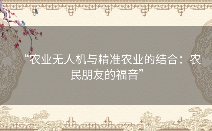 “农业无人机与精准农业的结合:农民朋友的福音” “农业无人机与精准农业的结合:农民朋友的福音”