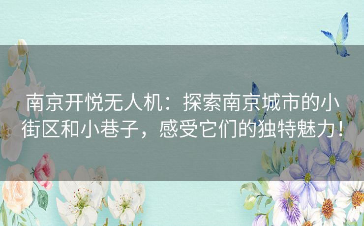 南京开悦无人机:探索南京城市的小街区和小巷子,感受它们的独特魅力! 南京开悦无人机:探索南京城市的小街区和小巷子,感受它们的独特魅力!