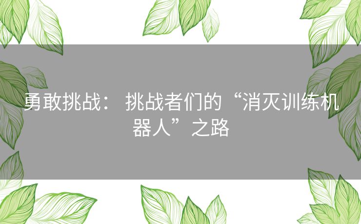 勇敢挑战: 挑战者们的“消灭训练机器人”之路 勇敢挑战: 挑战者们的“消灭训练机器人”之路