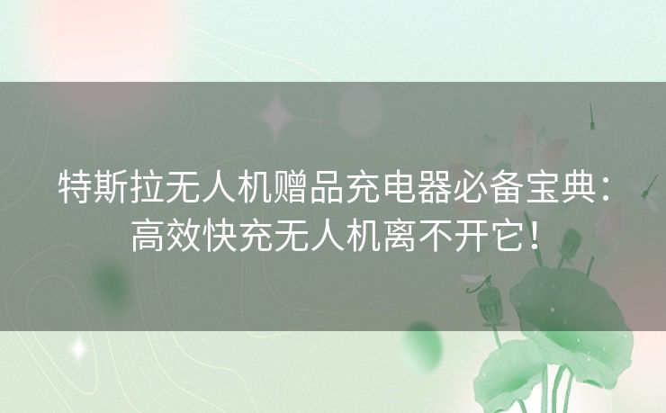 特斯拉无人机赠品充电器必备宝典:高效快充无人机离不开它! 特斯拉无人机赠品充电器必备宝典:高效快充无人机离不开它!