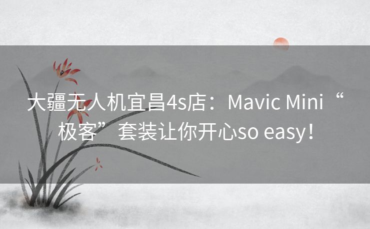 大疆无人机宜昌4s店:Mavic Mini“极客”套装让你开心so easy! 大疆无人机宜昌4s店:Mavic Mini“极客”套装让你开心so easy!