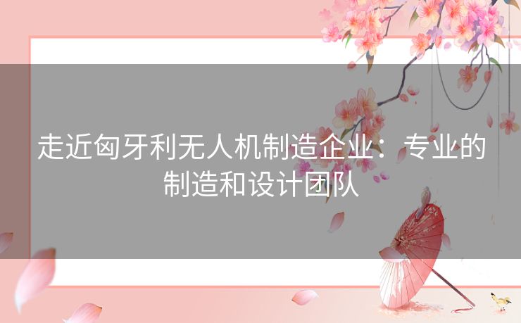 走近匈牙利无人机制造企业：专业的制造和设计团队