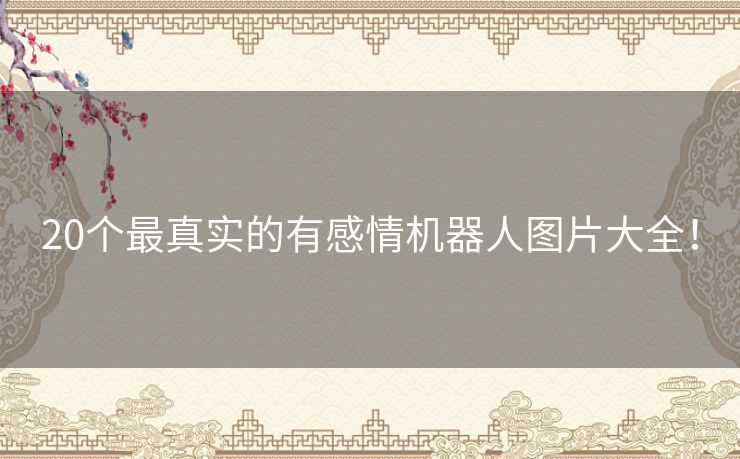 20个最真实的有感情机器人图片大全! 20个最真实的有感情机器人图片大全!