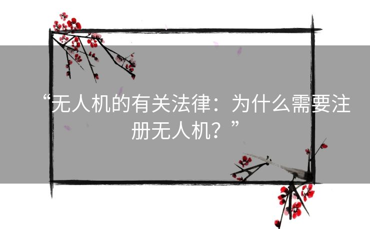 “无人机的有关法律:为什么需要注册无人机?” “无人机的有关法律:为什么需要注册无人机?”