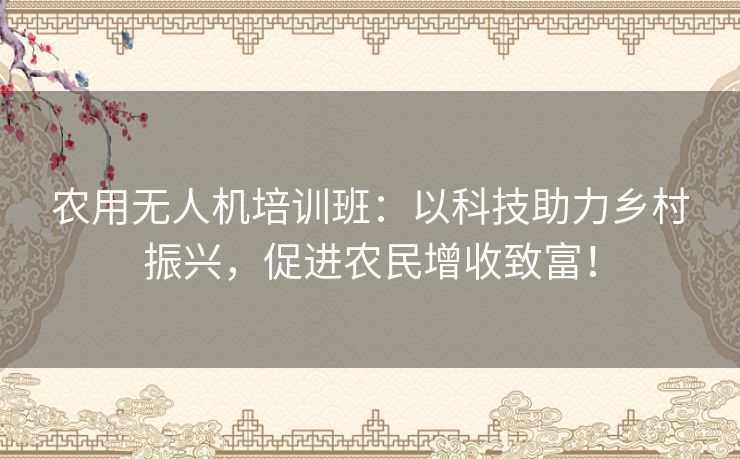农用无人机培训班:以科技助力乡村振兴,促进农民增收致富! 农用无人机培训班:以科技助力乡村振兴,促进农民增收致富!