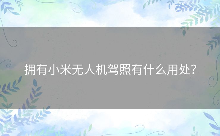 拥有小米无人机驾照有什么用处? 拥有小米无人机驾照有什么用处?