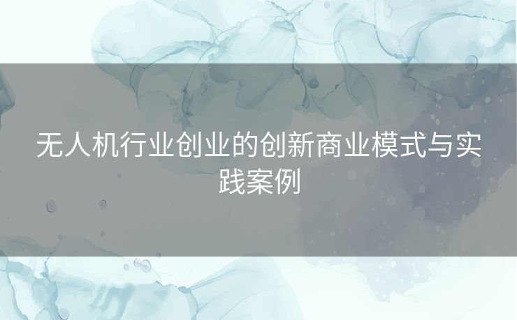 无人机行业创业的创新商业模式与实践案例 无人机行业创业的创新商业模式与实践案例