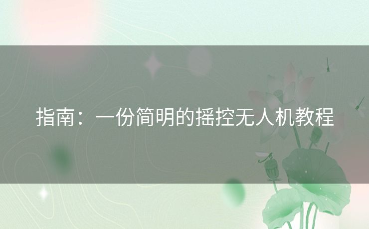指南:一份简明的摇控无人机教程 指南:一份简明的摇控无人机教程