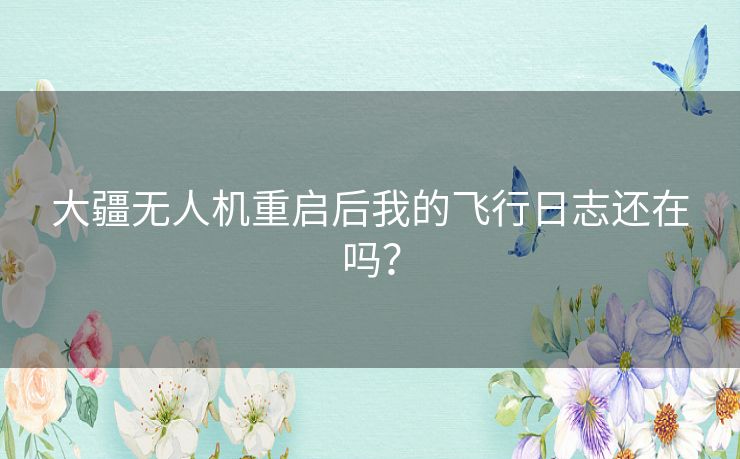大疆无人机重启后我的飞行日志还在吗? 大疆无人机重启后我的飞行日志还在吗?