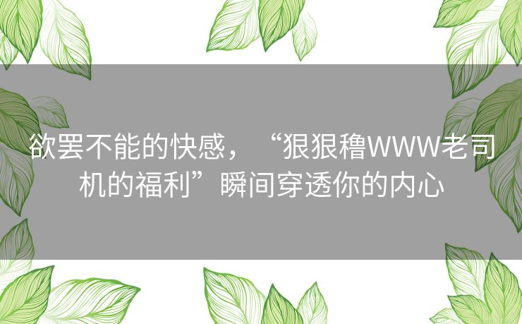 欲罢不能的快感,“狠狠穞WWW老司机的福利”瞬间穿透你的内心 欲罢不能的快感,“狠狠穞WWW老司机的福利”瞬间穿透你的内心