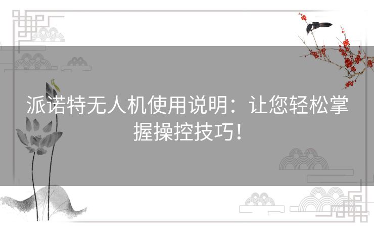 派诺特无人机使用说明:让您轻松掌握操控技巧! 派诺特无人机使用说明:让您轻松掌握操控技巧!